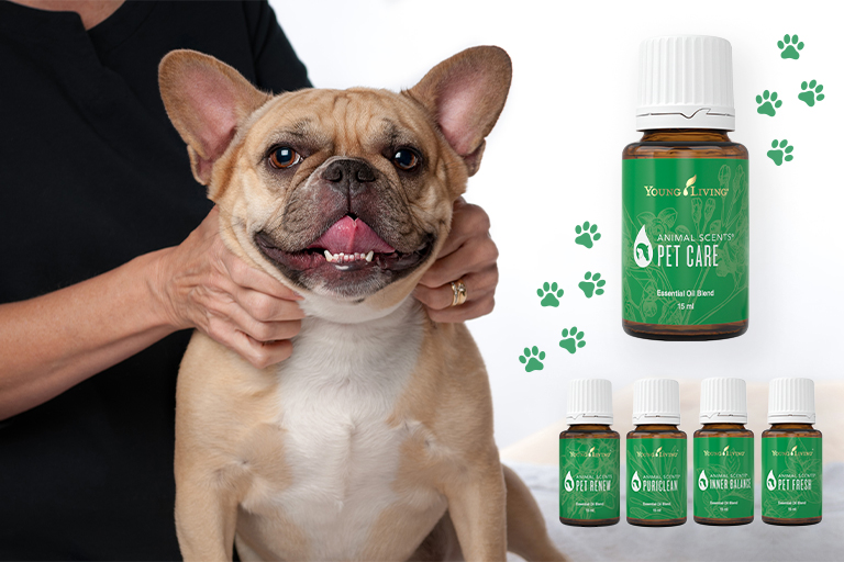 Image de propriétaire de chien massant son chien avec Animal Scents®.