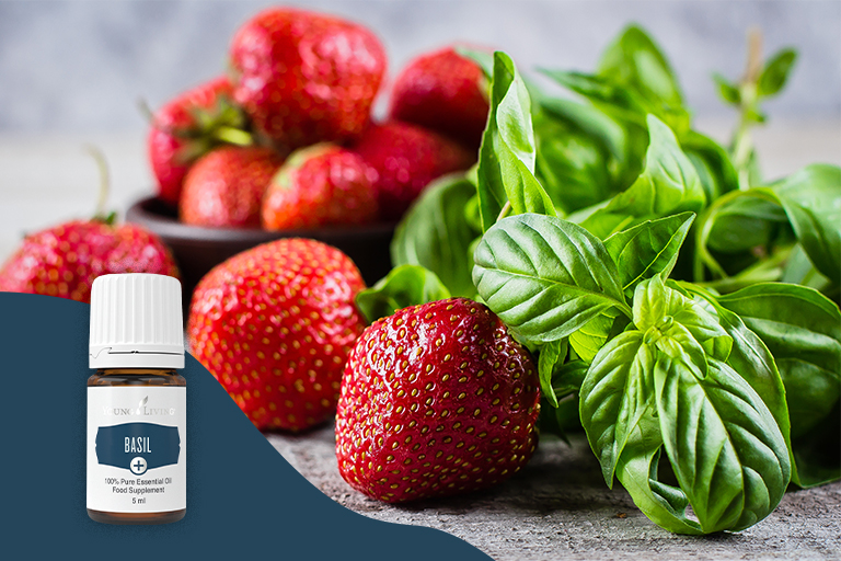 Image of strawberries, fresh basil leaves and Basil+ essential oil.