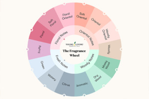 Gráfico de una rueda de aromas.