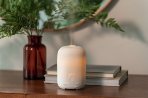 Image of YL Haven Ceramic Diffuser.