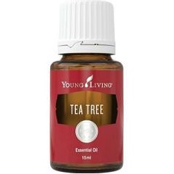 Tea Tree Essential Oil