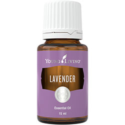 Lavender Essential Oil