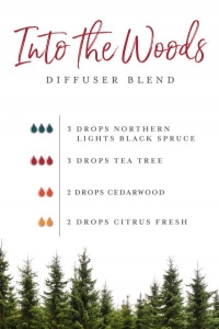  Into the Woods Diffuser Blend