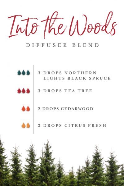 Into the Woods Diffuser Blend