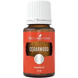 Cedarwood Essential Oil