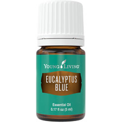 Eucalyptus Blue Essential Oil
