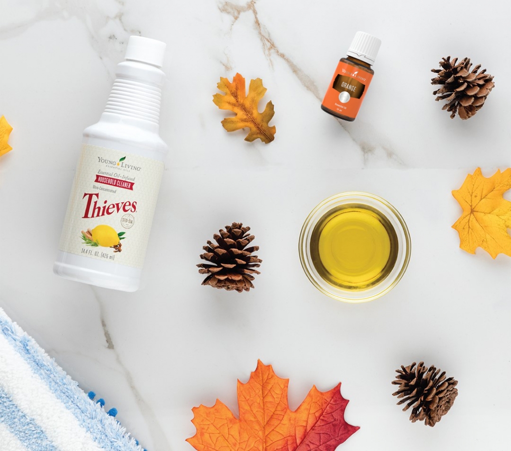 Thieves Household Cleaner and Orange Essential Oil