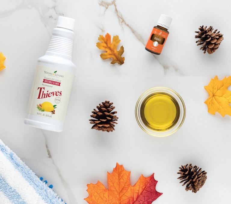 7 DIY cleaners with Thieves Household Cleaner Young Living Blog Hong Kong