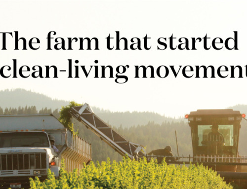 「Young Living精油之始」— 聖瑪莉薰衣草農場和蒸餾廠