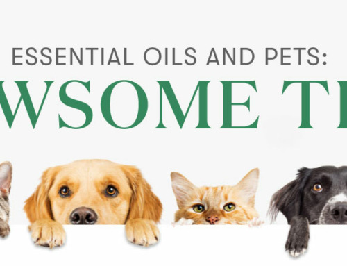 Essential Oils And Pets : Pawsome Tips