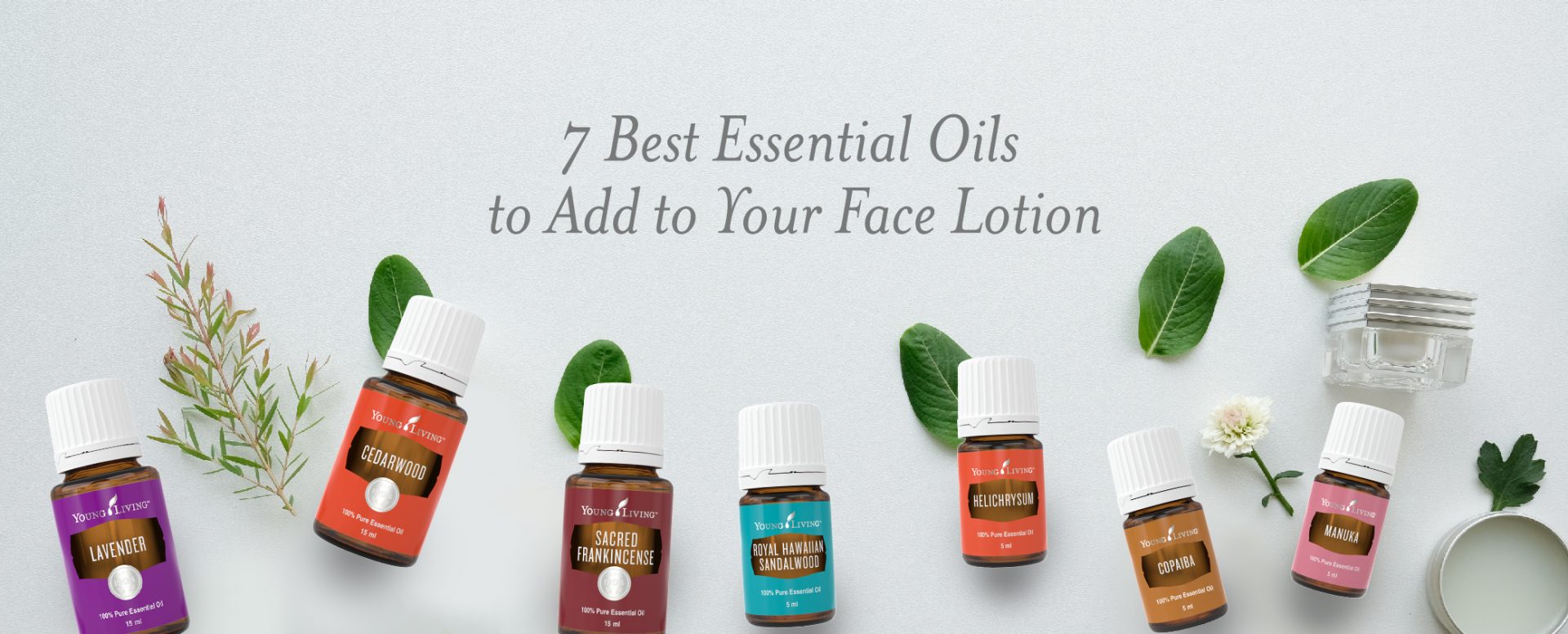 You Glow 7 Best Essential Oils For Your Skin And Face