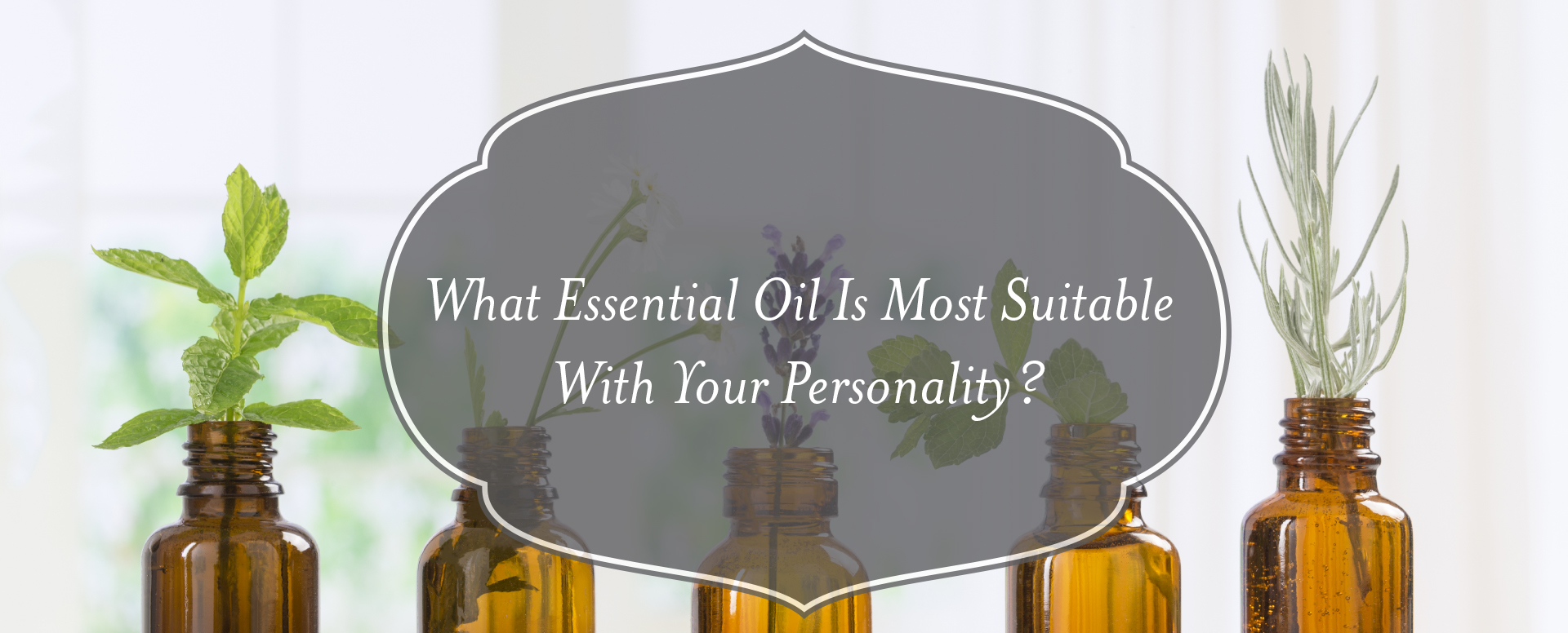 essential Oil quiz