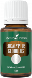 Bottle of Eucalyptus Globulus Essential Oil