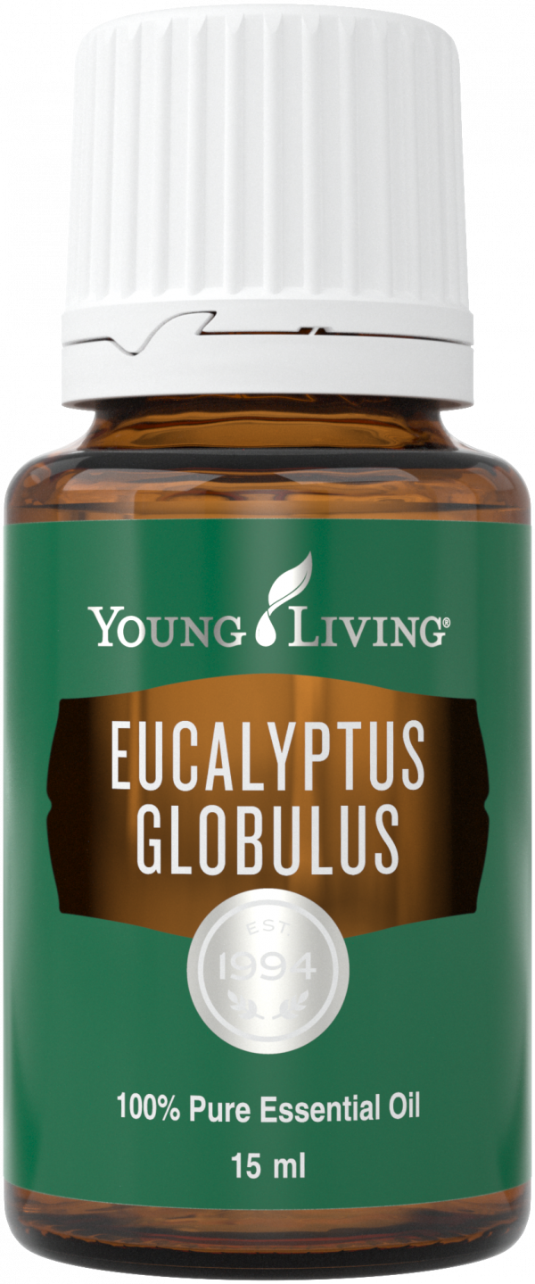 How to Use Young Living’s Three Eucalyptus Essential Oil Young Living