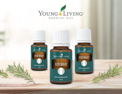 Alasan Mengapa Essential Oil Rosemary Harus Menjadi Obsesi Baru Anda