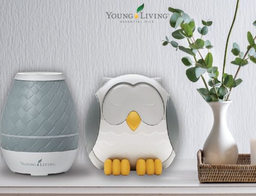 Feather Owl Diffuser vs Sweet Aroma Diffuser