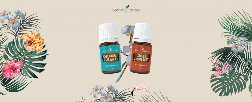 Royal Hawaiian Sandalwood VS Sacred Sandalwood: Why to Keep Both