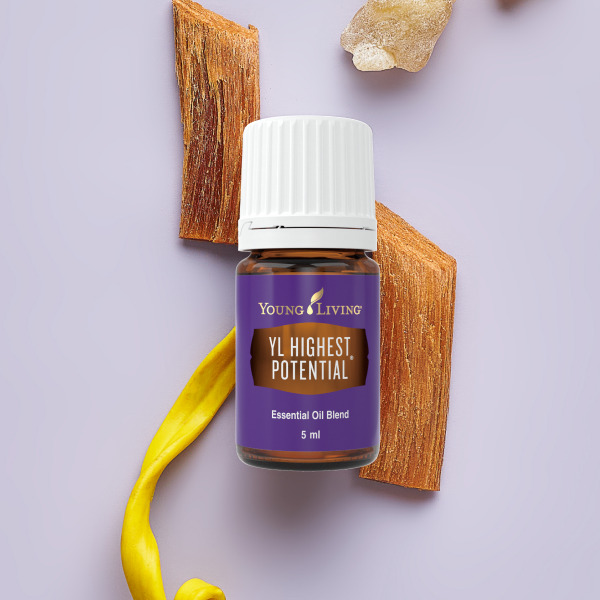 YL ハイエスト ポテンシャル