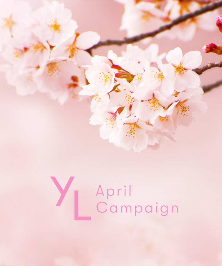 4月1日（土）〜25日（火）YLおトク便限定キャンペーン｜新しい生活のパートナーになってくれる3製品をプレゼント