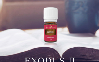 エクソダスⅡ再販のお知らせ