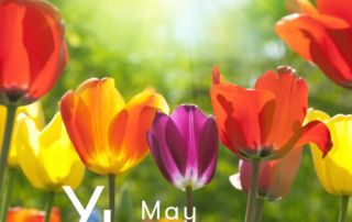 5月1日（月）〜25日（木）YLおトク便限定キャンペーン｜季節を感じるアクセントに！春を存分に感じる爽やかさをテーマにお届け！