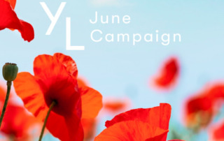 6月1日（木）〜25日（日）YLおトク便限定キャンペーン｜梅雨のジメジメをクリアに導いてくれる3つのオイルをお届け！
