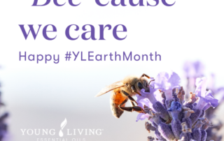 ヤング・リビングの研究：環境に優しい農法がミツバチの多様性を促します