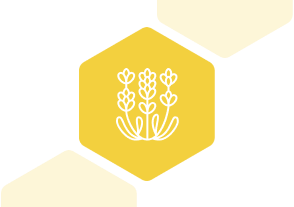 ラベンダーの役割