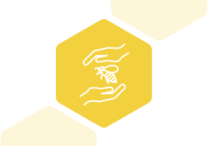 オアシスとしての保全地