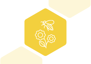 花蜜と花粉の収集