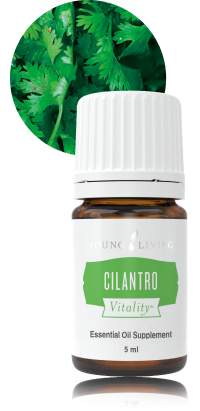 youngliving-essential-food-additive-26978-cilantro-vitality