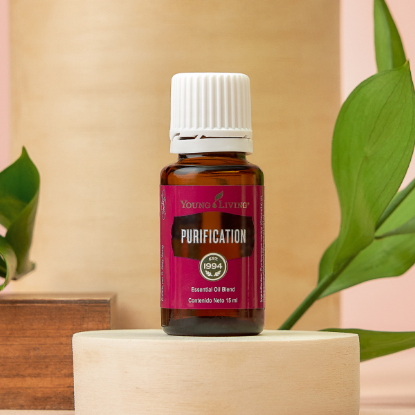 ピューリフィケーション ピューリフィケーション