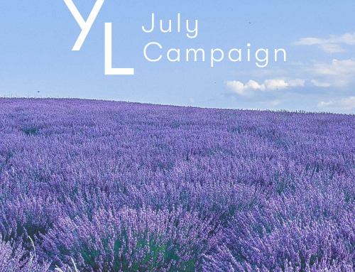 July YL Otoku-bin (ER order) limited campaign