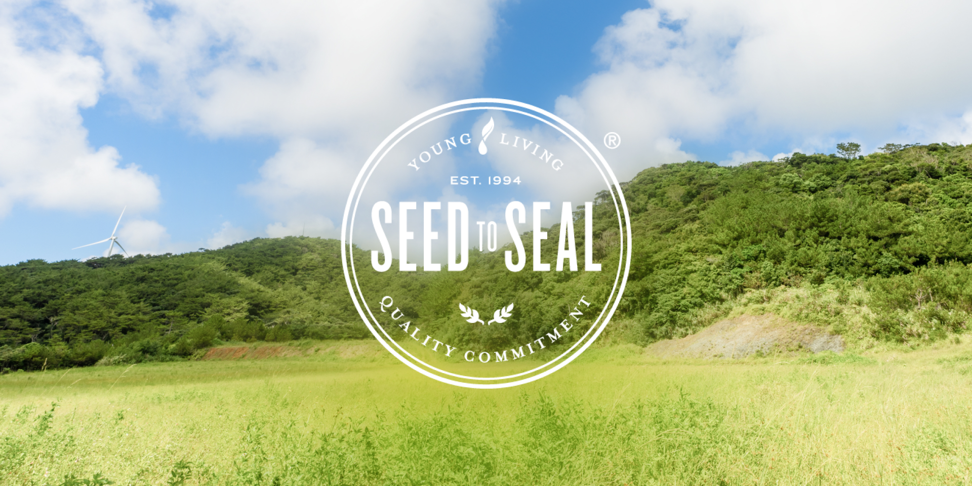 Seed to Seal