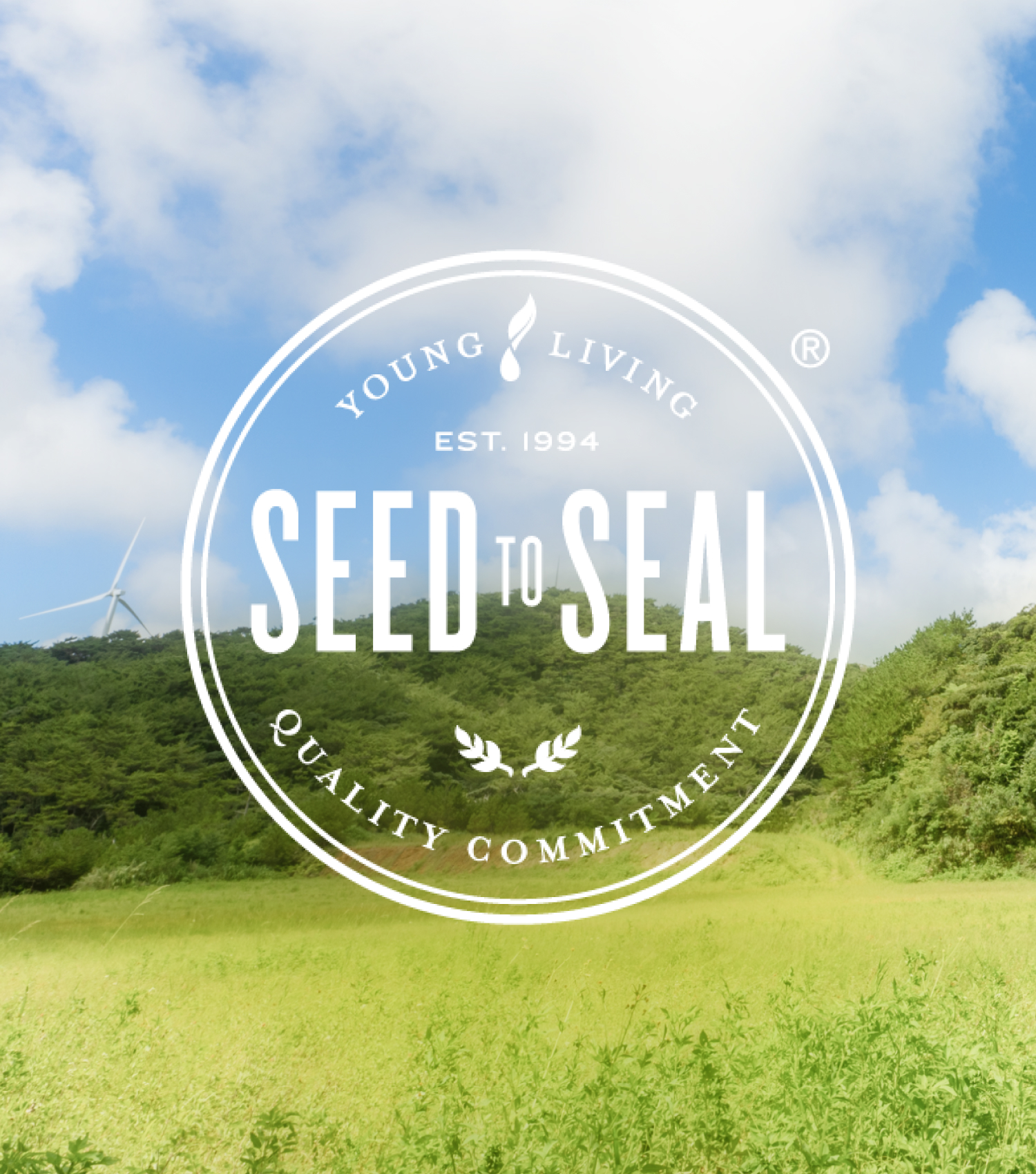 Seed to Seal