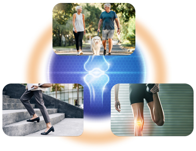 関節を滑らかに動かすために、軟骨成分が潤滑油的な役割