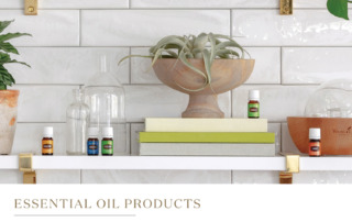 コレクション｜一覧から選ぶ