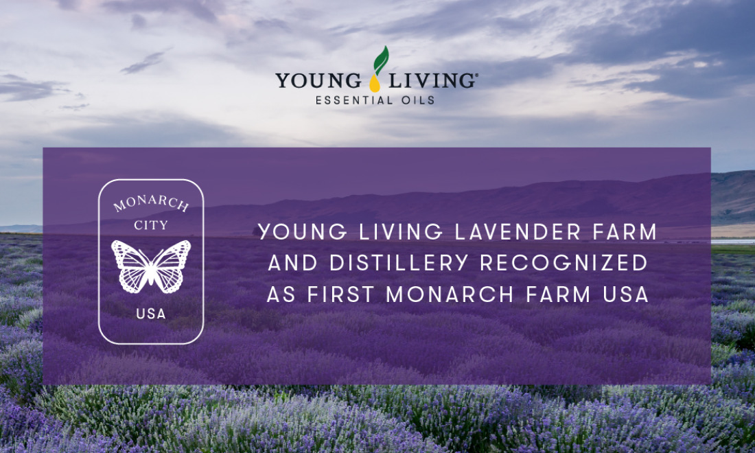ヤング・リビングのラベンダー農場＆蒸留所が「モナークシティUSA」に登録されます