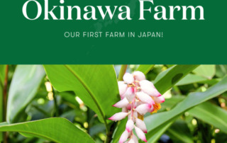 ヤング・リビング初となる日本農場が誕生します！