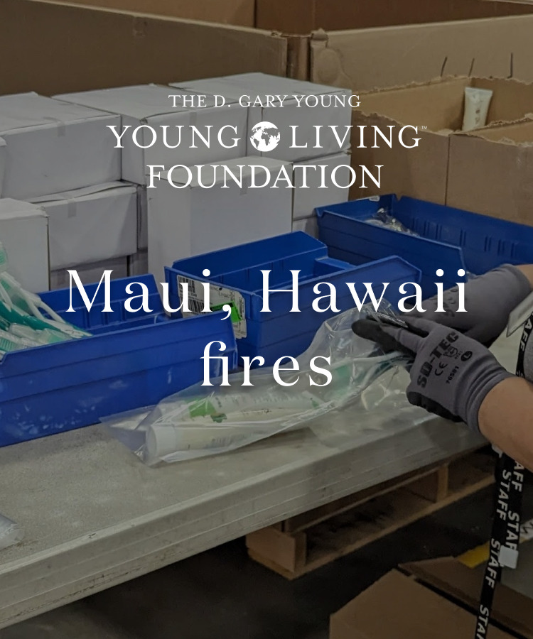 ハワイ・マウイ島の山火事に対する支援活動について
