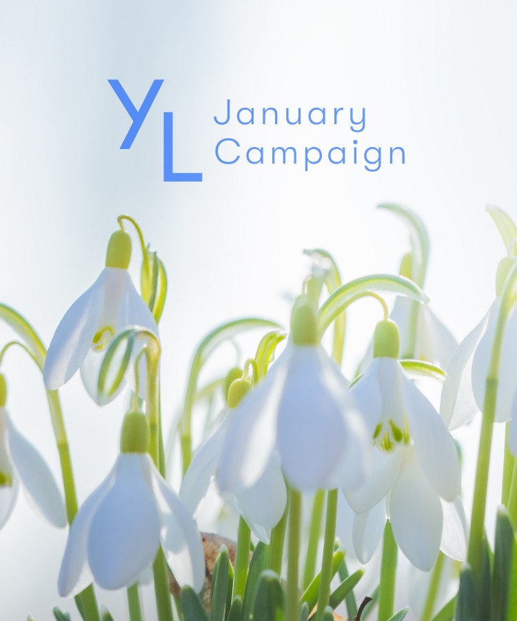 1月1日（日）〜25日（水）YLおトク便限定キャンペーン｜新年の始まりにふさわしい、多幸感をもたらす3アイテム