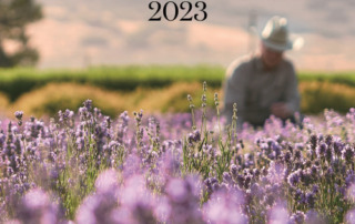 ヤング・リビングの総合製品カタログ”PRODUCT GUIDE 2023”が発行されました！