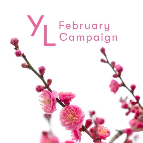 2月1日（水）〜25日（土）YLおトク便限定キャンペーン｜健康的な春を迎える準備にふさわしい3アイテム