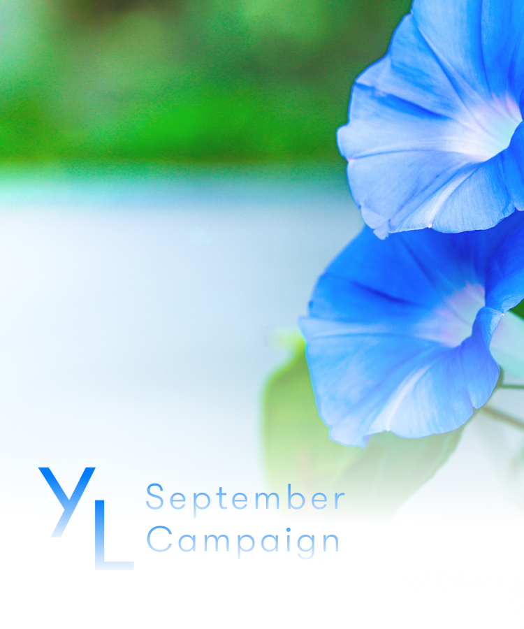 9月1日（月）〜25日（木）YLおトク便限定キャンペーン｜季節の変わり目にうれしい3製品をプレゼント！