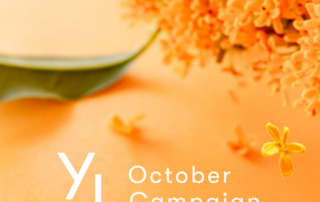 10月1日（水）〜25日（土）YLおトク便限定キャンペーン｜暮らしをもっと元気に快適にしてくれる3製品！