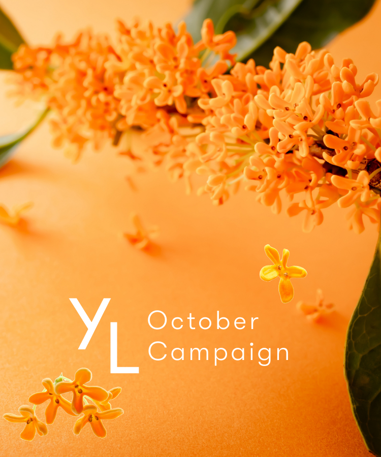 10月1日（水）〜25日（土）YLおトク便限定キャンペーン｜暮らしをもっと元気に快適にしてくれる3製品！