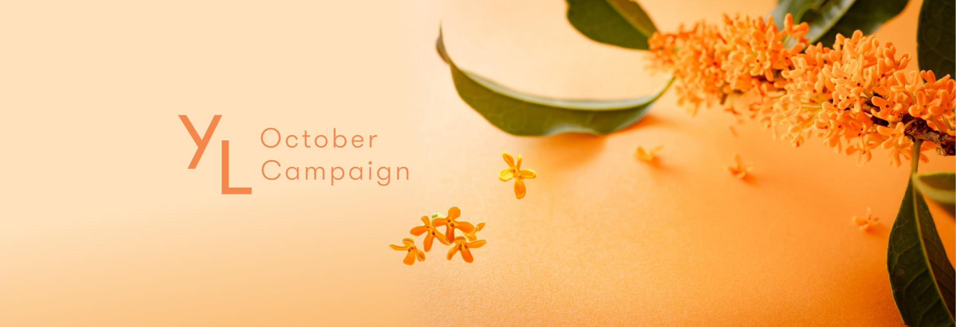 10月1日（水）〜25日（土）YLおトク便限定キャンペーン｜暮らしをもっと元気に快適にしてくれる3製品！