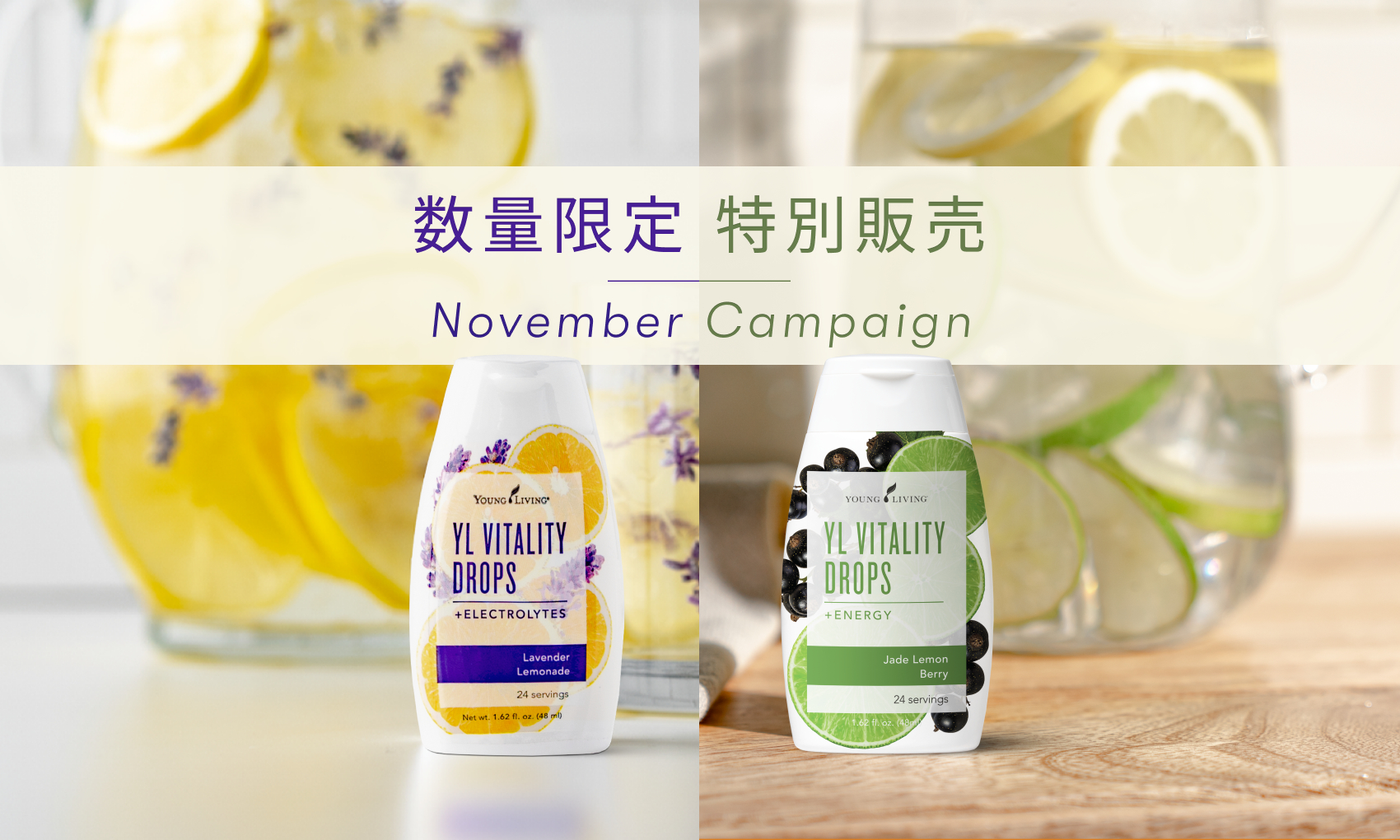 【希少】ヤングリビング ヴァイタリティ全種類 希少】ヤングリビング ヴァイタリティ全種類 希少】ヤング