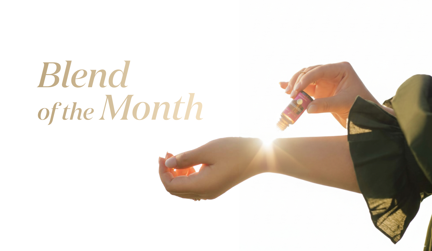 Blend of the Month 10~11月|たった数滴のアバンダンスが、ヤング・リビングの未来を変えた