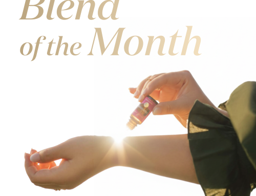 Blend of the Month  10～11月｜たった数滴のアバンダンスが、ヤング・リビングの未来を変えた